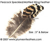 Peacock Mottled Wing Quills 3"/5"