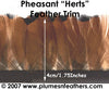 PH14 Pheasant Ringneck Fringe 0.5"