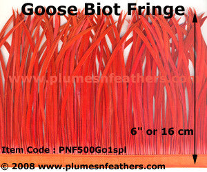 Goose Biot Fringe Spl.Edition