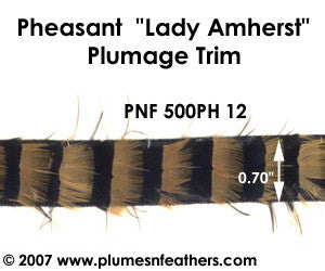 PH12 Pheasant L.Amherst Trim