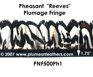 PH1 Pheasant Reeves Fringe
