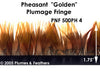 PH4 Pheasant Golden Fringe