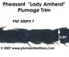 PH7 Pheasant L.Amherst Trim