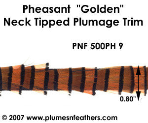 PH9 Pheasant Golden Trim