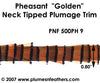 PH9 Pheasant Golden Trim