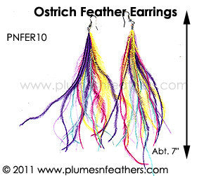 Feather Earrings PNFER10