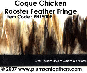 Coque Ginger Fringe 8/10cm