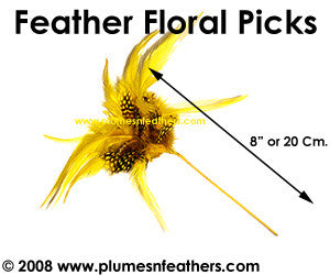 Coque & Guinea Feather Floral Pick