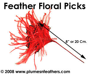 Ostrich & Pheasant Tippet Floral Pick