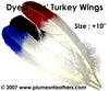 Turkey Quills -10" Dyed Tips Selected