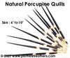 Nat. Porcupine Quill 11"