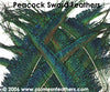 Nat. Peacock Swords 10"/20"
