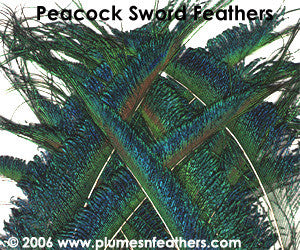 Nat. Peacock Swords 30"/45"