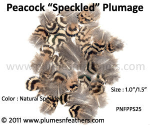Speckled Plumage (Iridescent) 25 Pcs. 1”-1.5”