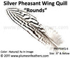 Silver Pheasant Wing Quills ‘Rounds’ 6” Below