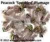 Speckled Plumage (Iridescent) 25 Pcs. 1.5”-3”